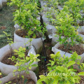 pipa cabang drip irrigator dripper